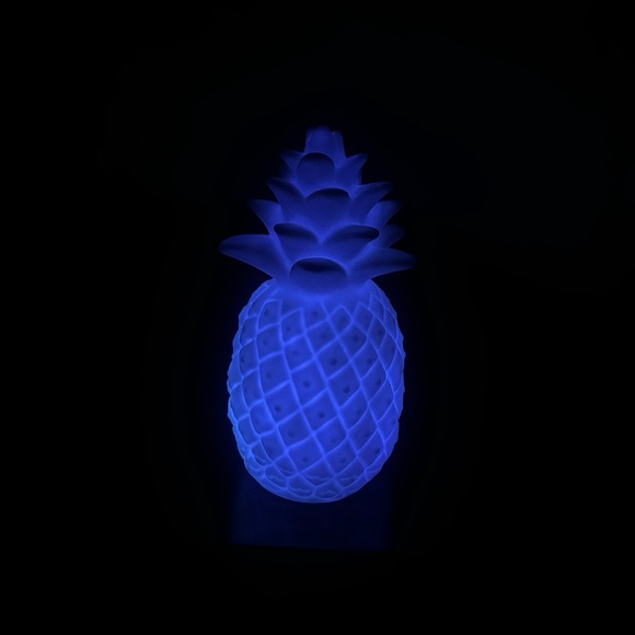 Light Up Pineapple Decor - Picture 5 of 9